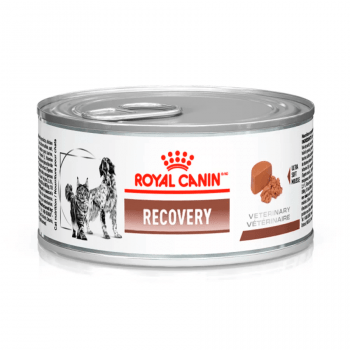 Recovery Royal Canin Veterinary Ração Lata Cães e Gatos 195 g
